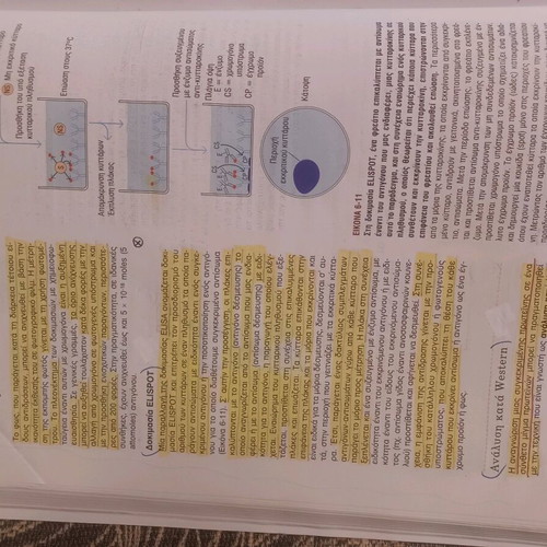 KUBY Immunology like new