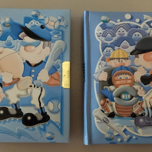 Diary notebook used with colored pages, set of 2