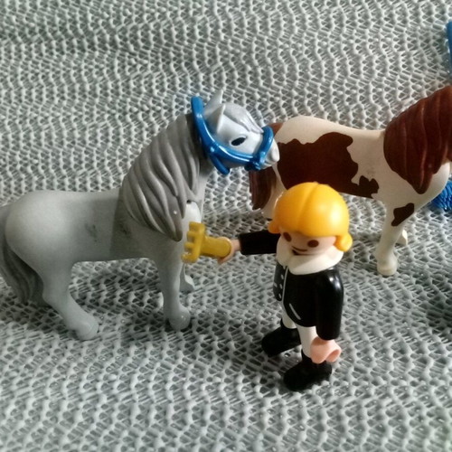 Playmobil set children and horses used