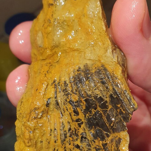 Lot of fossils and rocks from Greece new, educational collection