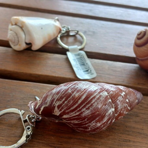 Keychain set of 4 new with seashells