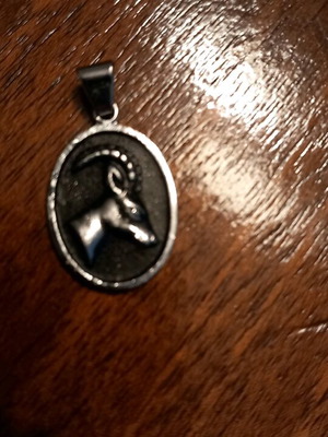 Zodiac Aries pendant like new