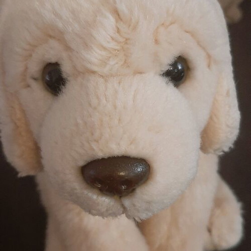 Plush dog like new