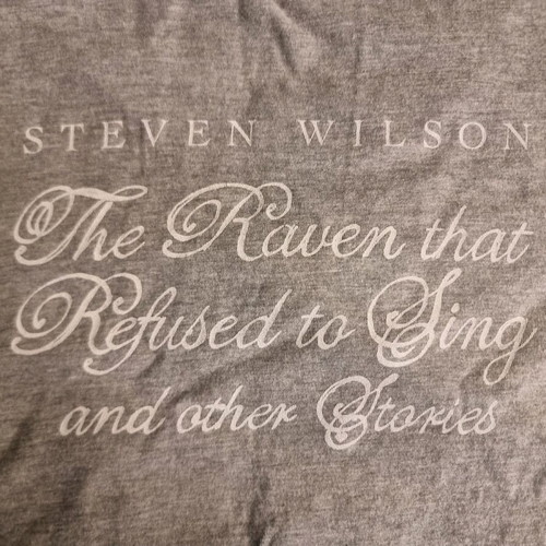 Steven Wilson T-shirt 2013 Gildan gray, like new, size Large