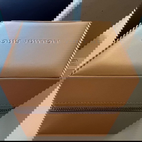 Louis Vuitton Case New