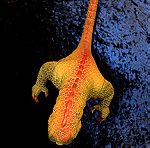  Δεινοσαυρος
