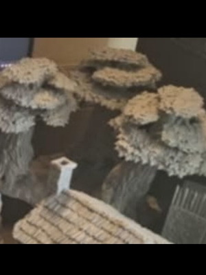 3d forest from conquest creation new