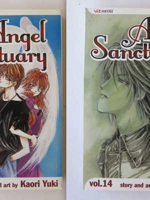Angel Sanctuary manga used, volumes 1 and 14 in English