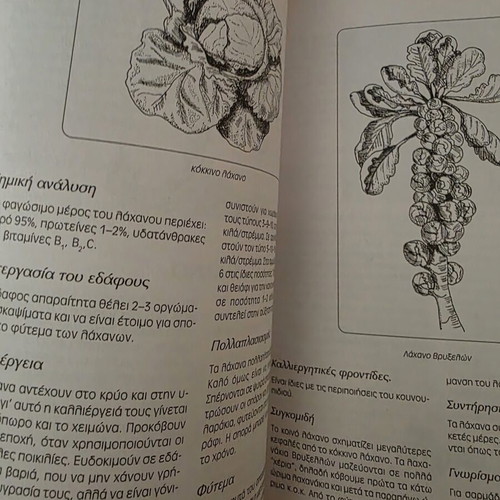 Modern Vegetable Growing book by Kosmas P. Paraskevopoulos