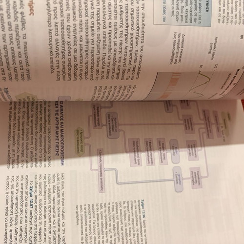 Vander's Physiology of the Human Book new condition