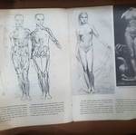 Drawing the Figure used book