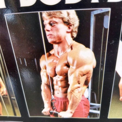 The Gold's Gym Book of Bodybuilding book like new, vintage volume 310
