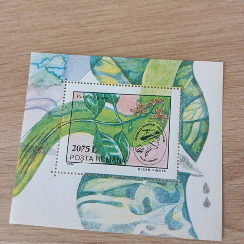 Fegie from various countries new, lot of 10 pieces