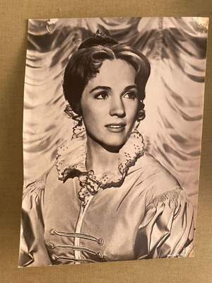 Hawaii 1966 Julie Andrews original vintage publicity photo