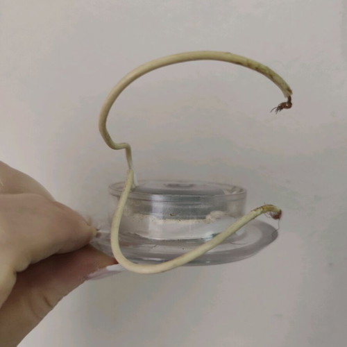 Led spot 12v used, waterproof with transparent frame for boats