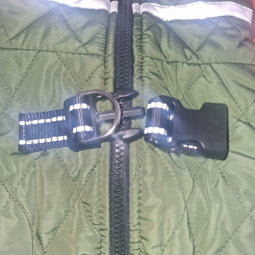 Winter dog jacket size L new, green