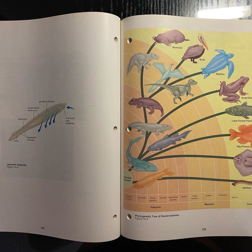 Biology books by Sylvia S. Mader and art notebook new