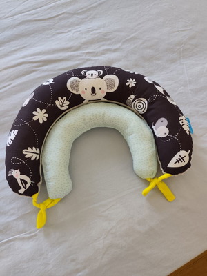Taf Toys 2 in 1 Tummy Time Pillow