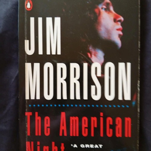 The Writings of Jim Morrison The American Night used poetry collection