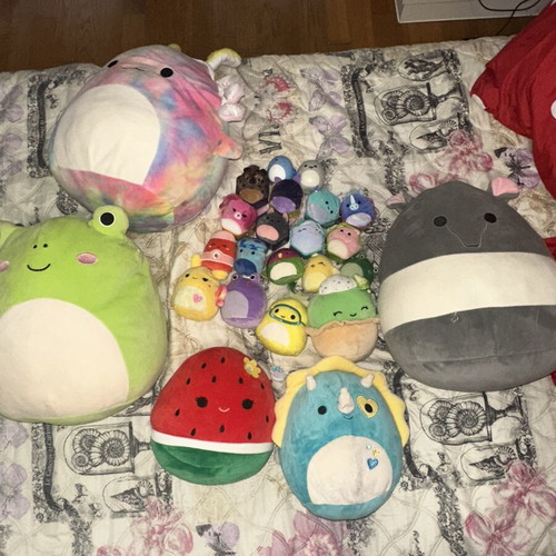 Squishmallows large plush collection