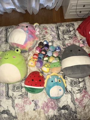 Squishmallows large plush collection