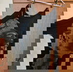  μπλουζα