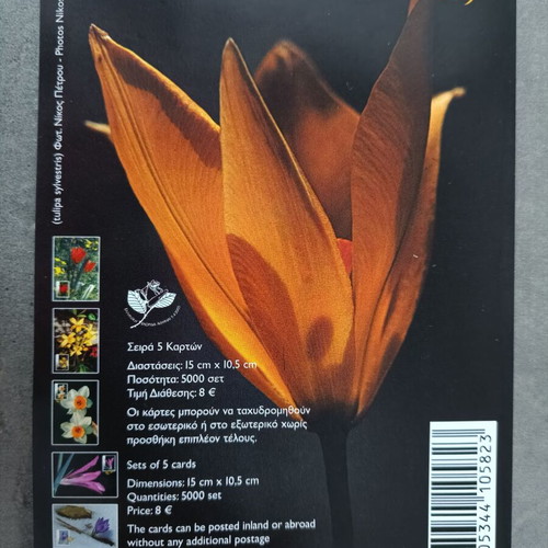Greek flora 2005 complete stamp series on maximum cards new