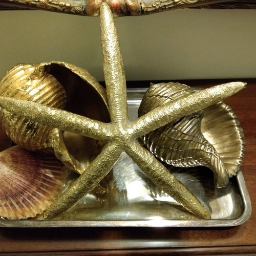 Large seashells and starfish composition like new