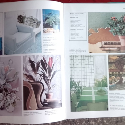 Decorative Indoor Plants Book like new