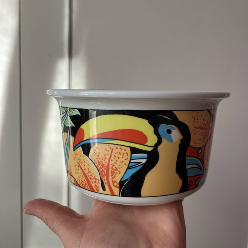 Vintage Pillivuyt France Tukan Porcelain Bowl mint condition