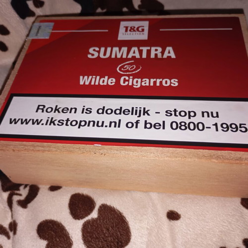 T&G Selection Sumatra Wilde Cigarros Wooden Box like new, empty