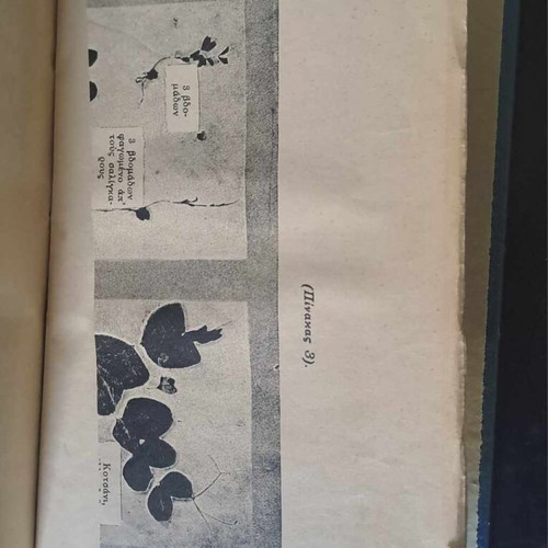 Η Αρχή Της Εργασίας Στο Δημοτικό Σχολείο μεταχειρισμένο, Eduard Oertli, 1925