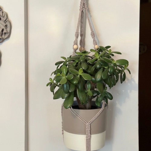 Macrame for hanging plant pot new handmade