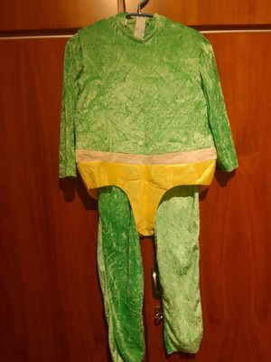 Gobi Bear carnival costume like new