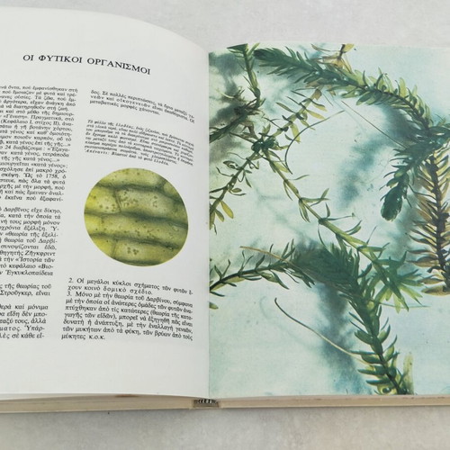 The Life Under the Microscope Vintage Hardcover Book like new