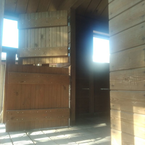 Treehouse used, with swing, ladder and handles