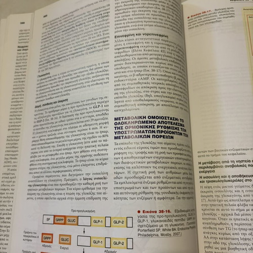 Berne & Levy Physiology University Textbook like new