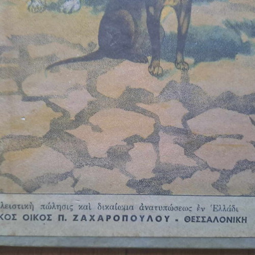 Vintage school poster dog hardcover used 40x35