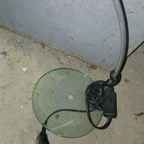 Desk lamp used, very good, minimally used