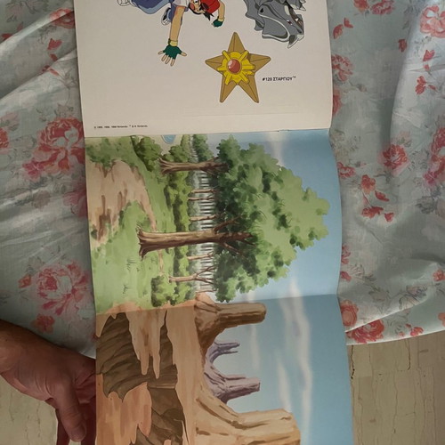 Pokémon album paper crafts used
