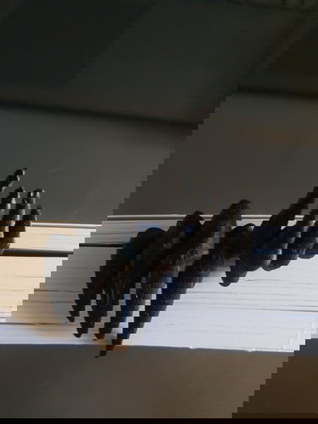 Σελιδοδείκτης Claws of Horror