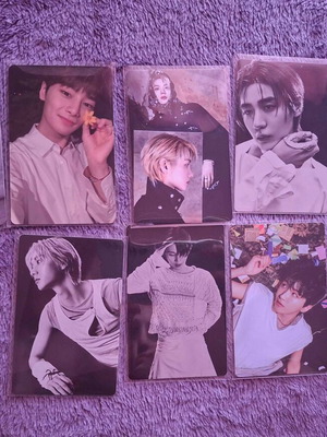 Kpop photocards from Stray Kids and Boynextdoor