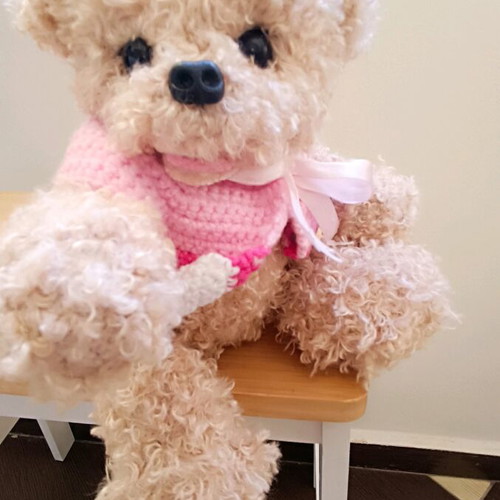 Handmade knitted puppy new with movable joints and pink or red blouse