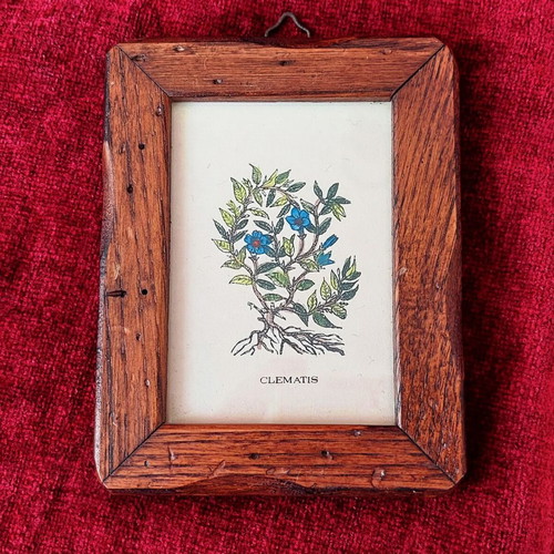 Collection of 3 mini frames with wooden frame like new