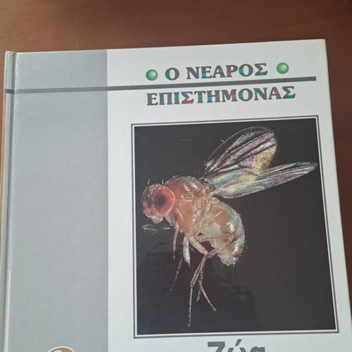 The Young Scientist Invertebrate Animals book like new