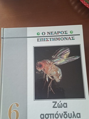 The Young Scientist Invertebrate Animals book like new