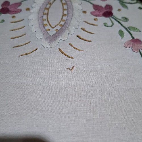 Handmade Serving Tray with Embroidery and Wooden Frame used