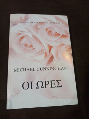 The Hours like new book