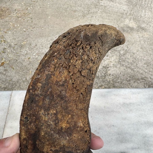 Transport container used, possibly for gunpowder, made of horn