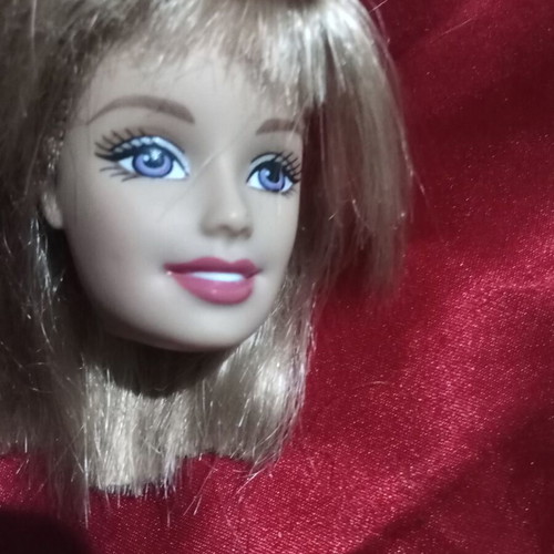 Barbie head used, collector's item